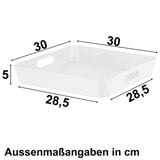 Ordnungsbox 30x30x5 cm Ordnungskorb Regalorganizer Wandregal Aufbewahrungsbox