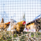 Vierkant Drahtgitter feuerverzinkt Kaninchendraht Hasendraht Volierenzaun