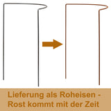Pflanzenstütze Staudenstütze halbrund Edelrost - Ø 38 cm - 70 cm hoch aus 5mm unbehandeltem Stahldraht - Rost Roheisen Für den Garten - Metall - Buschstütze - Staudenstütze Pflanzbogen Staudenhalter Rankhilfe Pflanzenring