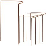 Pflanzenstütze Staudenstütze halbrund Edelrost - Ø 38 cm - 100 cm hoch aus 5mm unbehandeltem Stahldraht - Rost Roheisen Für den Garten - Metall - Buschstütze - Staudenstütze Pflanzbogen Staudenhalter Rankhilfe Pflanzenring