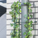 2x Rankhilfe je 100 cm hoch - Rankspalier grün für Kletterpflanzen Rosen Spalier halbrund für Fallrohre Regenrinne oder Baumstämme