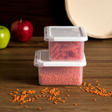 Kleine Vorratsdosenset 500+600ml - 4 Teile - transparent mit weißem Deckel - Gefrierdose Frischhaltedose Mikrowellengeeignet Spülmaschinengeeignet Lebensmittelecht