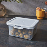 Kleine Vorratsdosen Set 500ml - 12x10x6 cm - Lebensmittelbox Gefrierdose Frischhaltedose Mikrowellengeeignet Spülmaschinengeeignet - transparent mit weißem Deckel