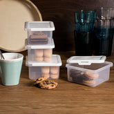 Kleine Vorratsdosenset 500+600ml - 4 Teile - transparent mit weißem Deckel - Gefrierdose Frischhaltedose Mikrowellengeeignet Spülmaschinengeeignet Lebensmittelecht