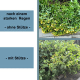 Pflanzenstütze Staudenstütze halbrund grau - Ø 38 cm - 100 cm hoch - aus 4mm kunststoffummantelten Draht - Für den Garten - Metall - Buschstütze - Staudenstütze - Pflanzbogen Staudenhalter Rankhilfe Pflanzenring